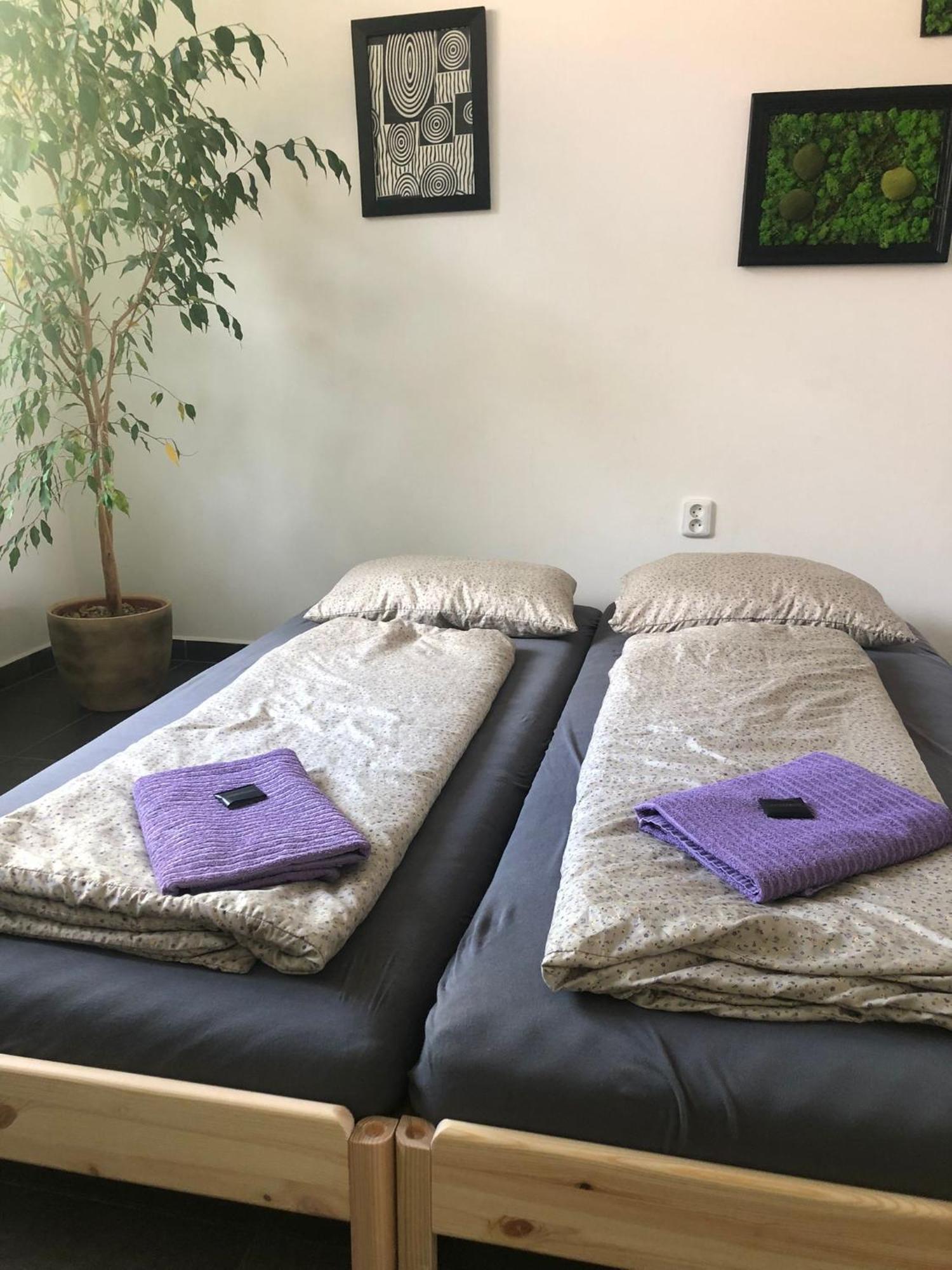 Apartman Wellness Veseli Veselí nad Moravou Exteriör bild